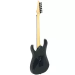 Proline PE2000 Electric guitar Strat 24 Freat Black Black, HSS, HSS, Pickup ** Foy Rose **