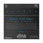 D'Addario® XTABBR1253 Airy guitar line 12 coated cable 80/20 Bronze series XT Light .012 - .053 ** Made in USA **
