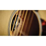 FishMan® Sonitone Pickle Guru Installed in the OEM-SON-GT1 Sonitone Onboard Preamp Pickup System