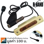 B-Band, Pickle Pickle Pickle, Blend Active, uses a good sound, M4 Body, Contact Star, Blend Active Soundhole Pickup.