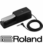 ROLAND FOOTSWICT Model DP-10 Sustain Pedal, foot switch, foot switch, foot step switch, Damper Pedal
