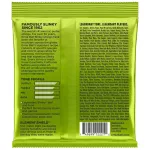 ERNIE BALL® Electric guitar line No. 10, 100% authentic, Regular Slinky .010 - .046 ** Made in USA **