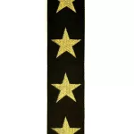 D'Addario® Planet Waves Woven Strap สายสะพายกีตาร์ ลายกราฟิค กว้าง 2 นิ้ว วัสดไนลอน ปรับยาวได้ 89-150 ซม. Gold Star ** Made in Canada **