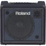 Roland® KC-200, a 100-watt keyboard amplifier, 4 channels per microphone, has a tweet speaker ** 1 year warranty **