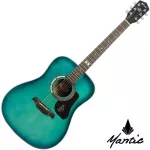 Mantic GT-1D 41 inch guitar, Dreadnough shape, Angle Man Sopz/Cherry Wood + Free Bag & Pick