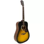 Mantic GT-1D, 41 inch acoustic guitar, Dreadnough style, Angle Mandrus/Cherry Wood + Free Bag & Kapo & Pi