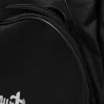 Paramount PSPM1 41 inch acoustic guitar bags + guitar guitar + guitar