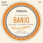 D'Amdario® EJ61 Banjo String Band Joe No. 10 Nickel -Pected Steel Medium, 10 - 23 ** Made in USA **