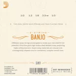 D'Amdario® EJ61 Banjo String Band Joe No. 10 Nickel -Pected Steel Medium, 10 - 23 ** Made in USA **