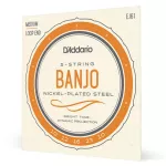 D'Amdario® EJ61 Banjo String Band Joe No. 10 Nickel -Pected Steel Medium, 10 - 23 ** Made in USA **