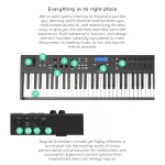 Arturia® Keylab Essential 88 Midi Controller, a dumb keyboard 88 keyboard Semi-Weighted to USB/MIDI/Pedal + Free