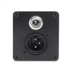 Fishman® Presys+ ปิ๊กอัพกีตาร์โปร่ง แบบติดตั้งด้านข้าง มีช่องเสียบแจ็ค 1/4  และช่องแจ็ค XLR รุ่น PSY-FAA-VAA Presys Plu