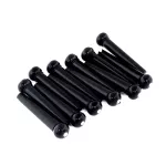 Paramount BP001 หมุดกีตาร์ 12 ตัว แบบมีจุดแต้ม Bridge Pin with Dots Acoustic Guitars / Pack of 12