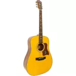 Mantic AG-620, 41 inch acoustic guitar, Dreadnough shape, shadow coating, Sitka, Spruez/Mahokani + free, free lining & kapok & pick