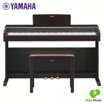 Yamaha®  YDP144-R เปียโนไฟฟ้า 88 คีย์ คีย์แบบ Hammer Action จำลองเสียงจากรุ่น CFX ต่อแอพได้ + ฟรีเก้าอี้เปียโน & คู่มือ