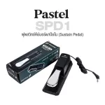 PASTEL SPD1 Sustain Pedal Footswitch for Piano & Keyboard Foots Switch Keyboard