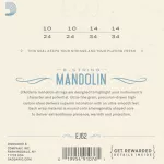 D'Amdario® EJ62 Mandolin String Mandalin 10 80/20 Bronze Light, 10 - 34 ** Made in USA **