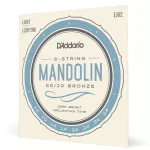 D'Amdario® EJ62 Mandolin String Mandalin 10 80/20 Bronze Light, 10 - 34 ** Made in USA **