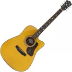 Mantic AG-620 CE 41-inch electric guitar, D-shadow coating, Sitka Squat/Mahokani + free, free bag & sash & ko