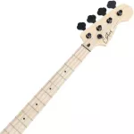 Century DJB DARK SERIES BAST 20 Frete Hardware Black + Free Rocking & Bag