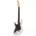 CENTURY CE-A384-LH, the left hand guitar, Strat 22 Freck, Beetle, Belt, Pickup, Electric guitar, left-handed person + free rocker &