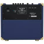 Facron Acoustica 40 Acoustic Amp Amp Amp, 45 watts, can be plugged in 2 guitar / removing mic effects, Reverb
