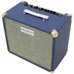 Facron Acoustica 40 Acoustic Amp Amp Amp, 45 watts, can be plugged in 2 guitar / removing mic effects, Reverb