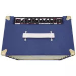 Facron Acoustica 40 Acoustic Amp Amp Amp, 45 watts, can be plugged in 2 guitar / removing mic effects, Reverb