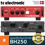 TC Electronic® BH250 Bass Head หัวแอมป์กีตาร์เบส 250 วัตต์ มีปุ่มปรับ EQ ต่อ D.I./USB/หูฟังได้ มีฟังก์ชั่น TonePrint **ป