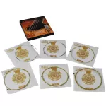 Alice® AWR480 สายกีตาร์โปร่ง เคลือบนาโนกันสนิม Nano Polished Coating แกนสายคาร์บอนสตีลเข้มข้มสูง สายพันวัสดุ 80/20 Bronze