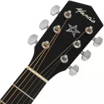 Mantic GT-1AC, 40-inch guitar, Dreadnought Cutaway, Angel Mandrus/Cherry Wood + Free Bag & Jun