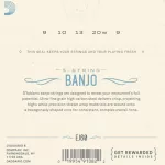 D'Addario® EJ60 Banjo Number 9 Nickel -Pected Steel Light, 9 - 20 ** Made in USA **