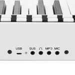 BORA BX-1A Digital Piano Piano Digital Piano 88 Key has a battery in the Bluetooth with white + free bags & adapters &