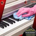 The Music Nomad Keyboard Cleaner keyboard is safely eliminated with fingerprints, dust and dirt. 100% authentic defense formula