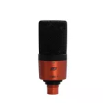 ESI® Cosmik 10 ไมโครโฟน ไมค์คอนเดนเซอร์ แพทเทิร์นรับเสียงแบบ Cardioid ตอบสนองย่านความถี่ 30Hz-18kHz + ฟรี ขาตั้ง & สาย X