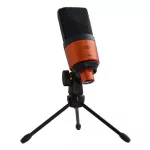 ESI® Cosmik 10 ไมโครโฟน ไมค์คอนเดนเซอร์ แพทเทิร์นรับเสียงแบบ Cardioid ตอบสนองย่านความถี่ 30Hz-18kHz + ฟรี ขาตั้ง & สาย X