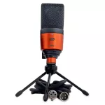 ESI® Cosmik 10 ไมโครโฟน ไมค์คอนเดนเซอร์ แพทเทิร์นรับเสียงแบบ Cardioid ตอบสนองย่านความถี่ 30Hz-18kHz + ฟรี ขาตั้ง & สาย X