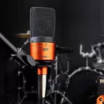 ESI® Cosmik 10 ไมโครโฟน ไมค์คอนเดนเซอร์ แพทเทิร์นรับเสียงแบบ Cardioid ตอบสนองย่านความถี่ 30Hz-18kHz + ฟรี ขาตั้ง & สาย X