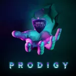 ERNIE BALL® PRODIGY LARGE SHIELD 2.0 mm. Special electric guitar guitar. Black Delrin® material ** Made in USA ** Model P09332