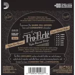 D'Addario® Pro-Arté Nylon Core สายกีตาร์คลาสสิค Black Nylon แบบพรีเมียม ของแท้ 100% รุ่น EJ46 Hard Tension คุณภาพดีกว