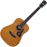 Mantic AG-2, 41-inch guitar, Dreadnough style, Mahogany wood, all + free bags & tuner & kapo & pic & check cleaning set