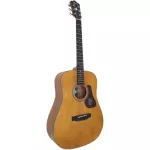 Mantic AG-2, 41-inch guitar, Dreadnough style, Mahogany wood, all + free bags & tuner & kapo & pic & check cleaning set