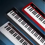 NUX NPK-10 Electric Piano 88 Piano Sky Triple-Sensor Scale Hammer Action Red + Free x &