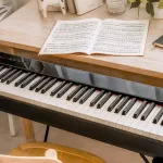 NUX NPK-10 Electric Piano 88 Piano Sky Triple-Sensor Scale Hammer Action Red + Free x &