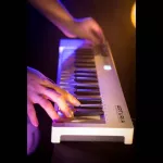 Arturia® Keystep Midi Controller, a hint keyboard, 32 key controls, AfterTouch systems have ARPEGGIATOR mode, Chord Play +