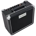 Facron Extreme 20 GUITAR AMP, 30 watt guitar amps, Clean/Distortion/Overdrive & 3-Band EQS