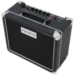 Facron Extreme 20 GUITAR AMP, 30 watt guitar amps, Clean/Distortion/Overdrive & 3-Band EQS