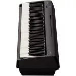 ROLAND® FP-10 Piano Piano Piano Digital 88 Key per MIDI and mobile phone via Bluetooth + Note & Pedal Switch & Added