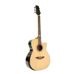 BARACUDA GW-600 EQ Electric Guitar 41 inch GA style Genuine Top Solid Stepper/Walnut Pickup Joyo Body Machine ** 1 year Insurance **