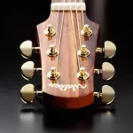 Walden® G630CE 41 -inch electric guitar, GA CUTAHAWAY TOP SOLID CEDAR, side wood and rosewood wood with Fishman + free guitar bags **